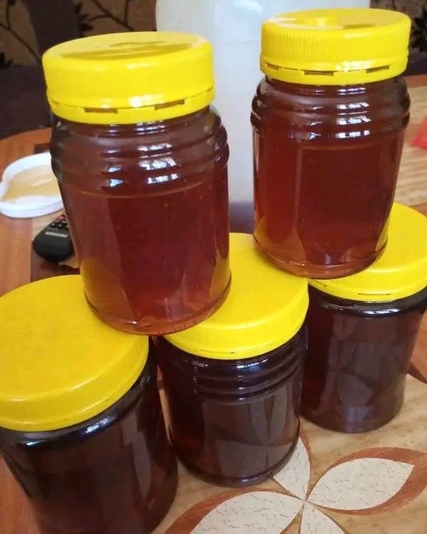 How to Start Beekeeping in Kenya: A Beginner’s Guide