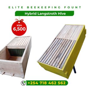 Hybrid Langstroth Hive