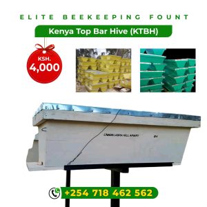 Kenya Top Bar Hive