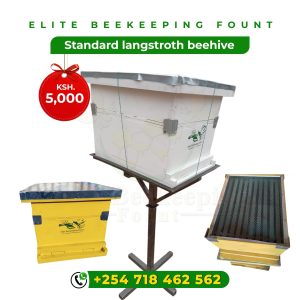 Standard Langstroth Beehive