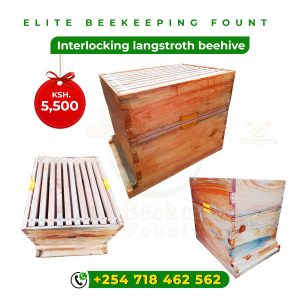Interlocking Langstroth Hive