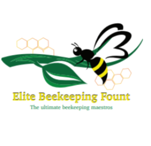 logo main